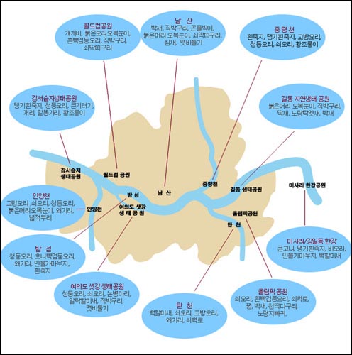 야생조류를 관찰할 수 있는 대표적인 곳. 